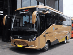 Butuh Sopir, Bus TAM Buka Lowongan, Simak Syaratnya di Sini