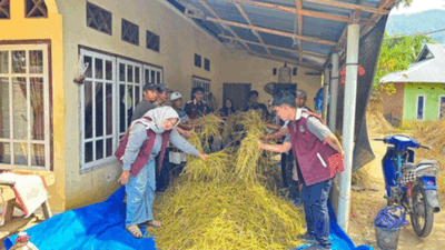 Mahasiswa KKN Unand Edukasi Inovasi Pakan Ternak Melalui Silase Jerami Padi di Nagari Padang Ganting, Tanah Datar