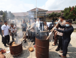 Dua Tersangka Terancam Hukuman Berat, Polres Serdang Bedagai Musnahkan 13,8 Kilogram Ganja