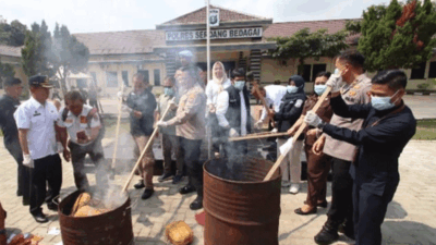 Dua Tersangka Terancam Hukuman Berat, Polres Serdang Bedagai Musnahkan 13,8 Kilogram Ganja