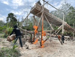 Satreskrim Polres Dharmasraya Tertibkan Tambang Ilegal, Tiga Pelaku Diamankan