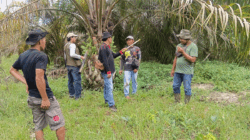 Tim BKSDA Sumbar turun ke lapangan guna memantau pergerakan seekor beruang yang muncul di kebun sawit, Jorong Pandaleh, Dharmasraya.