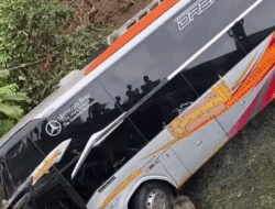 Bus Miyor Padang-Jambi Kecelakaan di Muara Kilis, Diduga Sopir Mengantuk