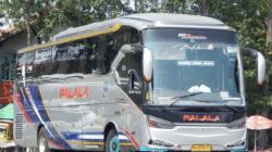 Salah satu armada bus Palala.