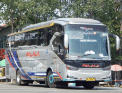 Bus Palala Rilis Harga Tiket Lebaran 2026, Ini Daftarnya