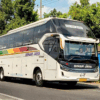 Banyak Rute di Pulau Jawa, Tiket Bus Sinar Jaya Paling Dicari untuk Mudik Lebaran 2026