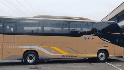 Salah satu armada bus TAM