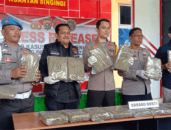 Tiga Orang Ditetapkan Jadi Tersangka, Polres Kuansing Gagalkan Peredaran 22,5 Kilogram Ganja
