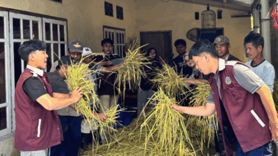 Mahasiswa Unand KKN di Nagari Padang Gantiang.