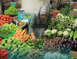 Sejumlah Komoditas Turun Harga di Padang Panjang Turun, Cabai Merah Merangkak Naik