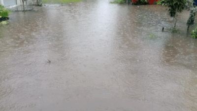 Genangan air akibat banjir.