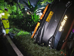 Bawa Pemudik dari Jakarta, Bus Kecelakaan Tunggal di Lahat