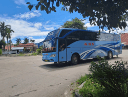 Perantau Mudik ke Kampung Halaman, NPM Paling Banyak Berangkatkan Bus dari Jabodetabek, Disusul ANS, Miyor dan Al Hijrah