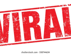 Mantap, Bus SAN Berhentikan Sopir yang Viral Lantaran Melawan Arah Saat Macet