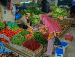 Harga Cabai Anjlok Parah di Sumbar, Emak-emak Nimbun Stok di Kulkas