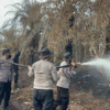 Lahan Gambut Terbakar di Pelalawan, Tim Gabungan Berjibaku Jinakkan Api