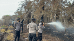 Petugas semprotkan air ke lahan gambut yang terbakar di Pelalawan.