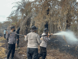 Lahan Gambut Terbakar di Pelalawan, Tim Gabungan Berjibaku Jinakkan Api