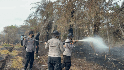 Petugas semprotkan air ke lahan gambut yang terbakar di Pelalawan.