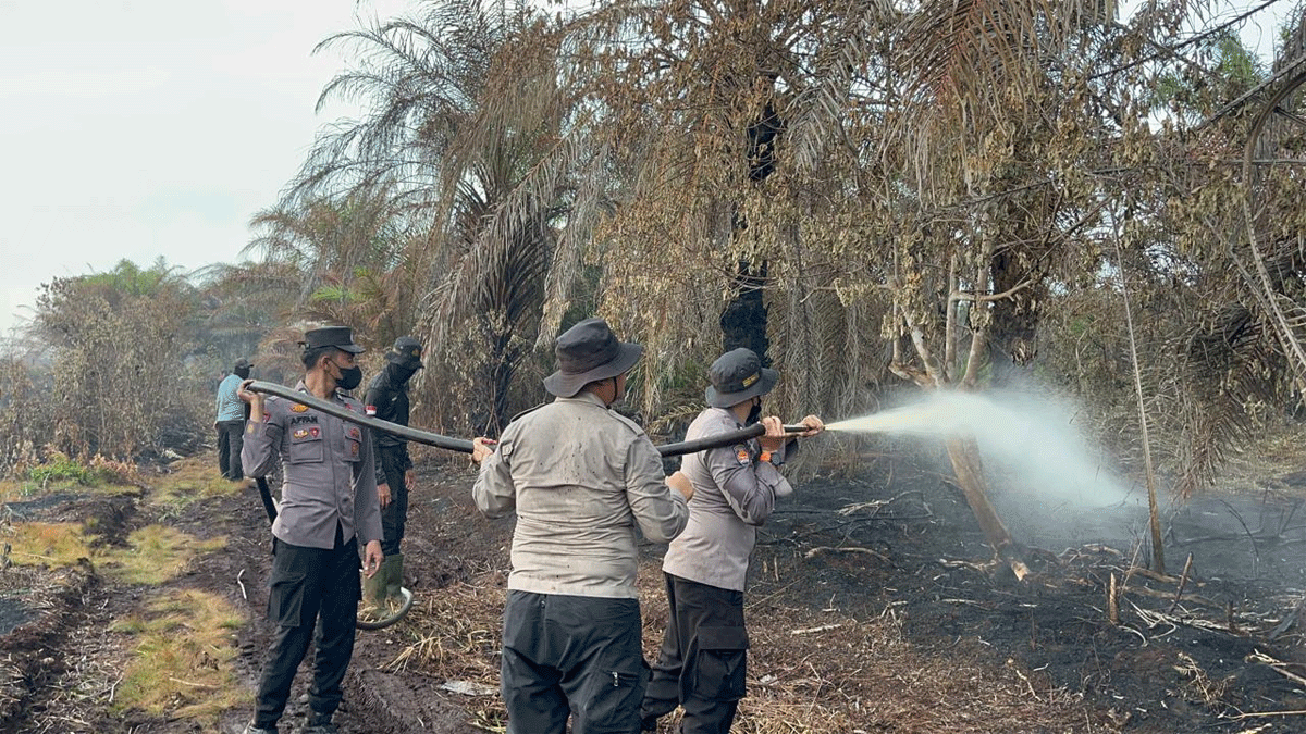 Petugas semprotkan air ke lahan gambut yang terbakar di Pelalawan.