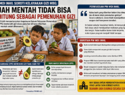 Penerima MBG Diberi Alpukat Mentah, Diperam Dulu Hingga Matang, Gizi Sepekan Kemudian