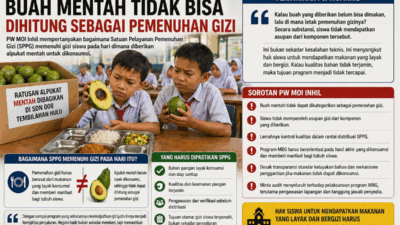 Ilustrasi MBG dengan alpukat mentah