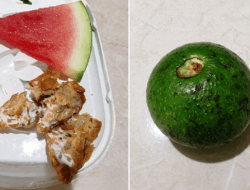 Buat Tuan-tuan yang Berkuasa di Negeri Ini, Mohon Sampaikan Kabar Ini ke Presiden Prabowo, Menu MBG di SD Tembilahan Hulu, Buah Mentah dan Tempe Mentah