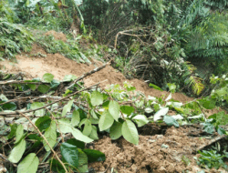 Longsor di Nias, Jalan Desa Tertimbun Tanah, Sudah Dua Hari Berlalu, Material Belum Dibersihkan, Pemerintah ke Mana Saja?