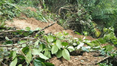 Material longsor yang menimbuin badan jalan.