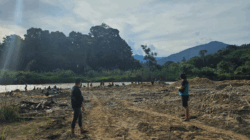 Ilustrasi tambang emas