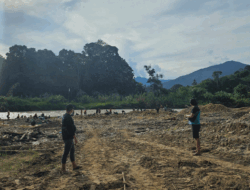 Asap Dapur Pekerja Tambang di Kuansing Terancam Tak Mengepul, Ada Apa Gerangan?