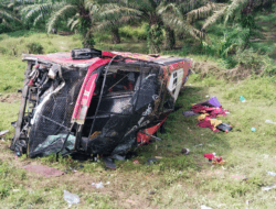 Bus Halmahera Jurusan Pekanbaru-Medan Kecelakaan, Empat Penumpang Tewas di Tempat