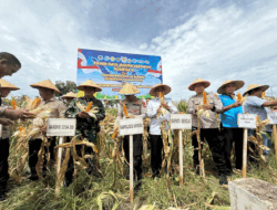 Bukan Sekadar Panen, Langkah Polres Sergai Ini Bikin Warga Salut