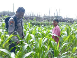 Dukung Swasembada Pangan, Ini yang Dilakukan Polsek Kuantan Hilir