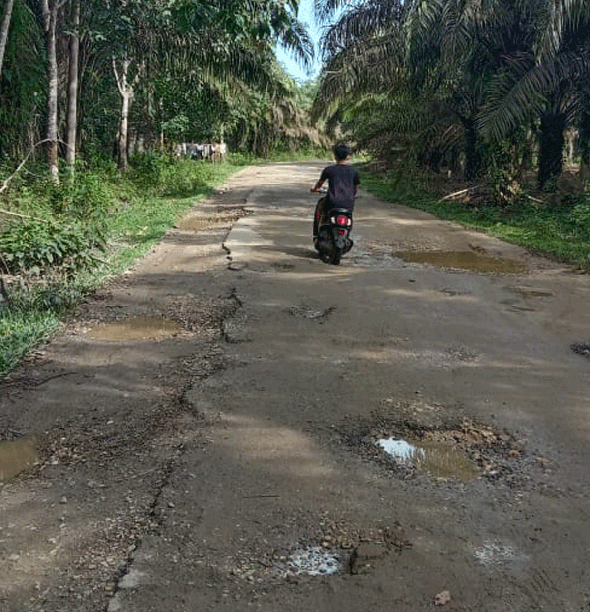 Jalan rusak di Teratak Jering, Kuansing
