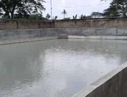 Bangkai Ayam Diduga Sebagai Pakan, Warga Kampung Pala Keluhkan Bau Busuk dari Kolam Lele