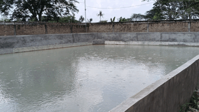 Kolam lele yang mengeluarkan aroma tak sedap dan dikeluhkan warga sekitar