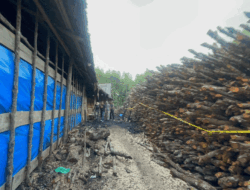 Tiga Tersangka dan 100 Ton Arang Disita, Polda Riau Bongkar Perusakan Mangrove di Meranti