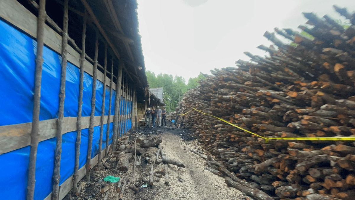 Barang bukti yang diamankan polisi di Meranti