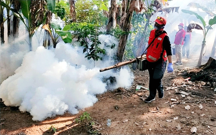 Relawan PMI melakukan fogging di Desa Selodakon, Kecamatan Tanggul, Kabupaten Jember, Jawa Timur, untuk memutus mata rantai penyebaran nyamuk penyebab DBD, Jumat (5/6/2026). (PMI Jember)